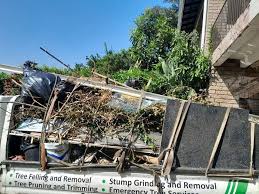 Best Demolition Debris Removal  in Wolf Point, MT